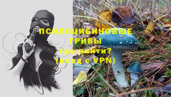 дживик Волоколамск